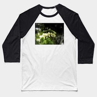 white bleeding hearts #2 Baseball T-Shirt